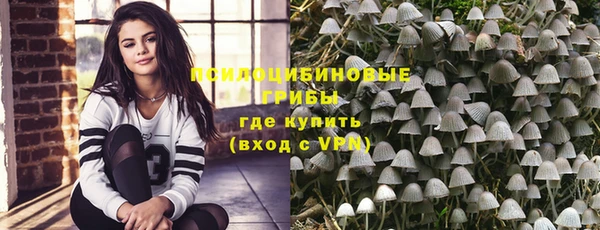 mdpv Каменногорск