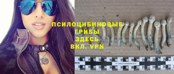 прущий лед Каменка