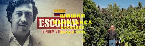 прущий лед Каменка