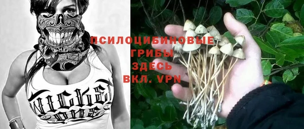 mdpv Каменногорск