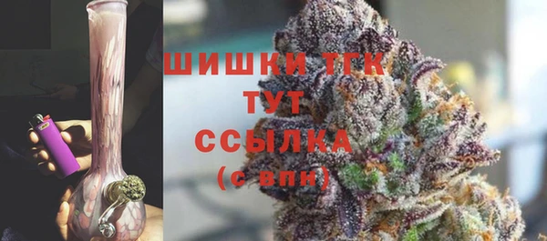 прущий лед Каменка