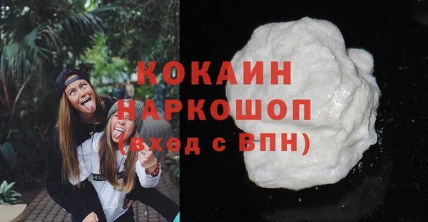 прущий лед Каменка