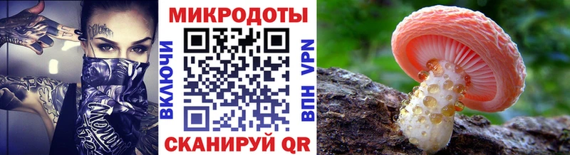 Купить где  Березники  Галлюциногенные грибы Magic Shrooms
